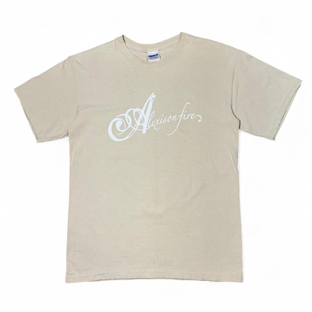 Alexisonfire graphic screen printed on vintage Gildan shirt emo skate grunge